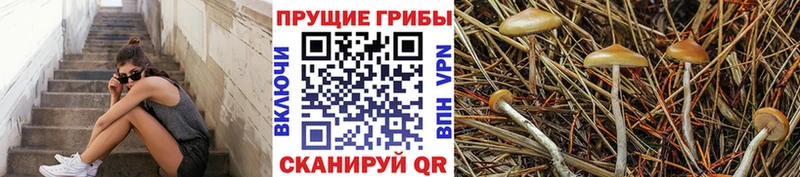 Галлюциногенные грибы GOLDEN TEACHER Спас-Деменск